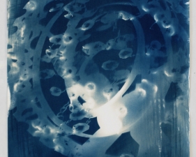 Vanessa Albury<br /> <i>Light Shadowgraphs, Chandelier I,&nbsp;</i>2014<br /> Cyanotype on paper<br /> 19 x 14"&nbsp;<br /> Unique