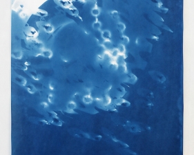 Vanessa Albury<br /> <i>Light Shadowgraphs, Chandelier VIII,&nbsp;</i>2014<br /> Cyanotype on paper<br /> 19 x 14"&nbsp;<br /> Unique