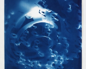 Vanessa Albury<br /> <i>Light Shadowgraphs, Chandelier VII,&nbsp;</i>2014<br /> Cyanotype on paper<br /> 19 x 14"&nbsp;<br /> Unique