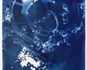 Vanessa Albury<br /> <i>Light Shadowgraphs, Chandelier XXII,&nbsp;</i>2014<br /> Cyanotype on paper<br /> 19 x 14"&nbsp;<br /> Unique