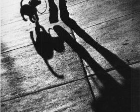 Benn Mitchell, Shadow of Woman's Legs with her dog, 1950.jpeg