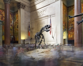 Matthew Pillsbury<br /> <i>Dinosaur, American Museum of Natural History, New York, 2015 (TV15071)</i><br /> Archival pigment ink prints<br /> 20 x 24" &nbsp; &nbsp;Edition of 10<br /> 30 x 40" &nbsp; &nbsp;Edition of 6 (plus 2 APs)<br /> 50 x 60" &nbsp; &nbsp;Edition of 2 (plus 1 AP)