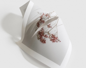 Delphine Burtin, Fragments 1-2, 2022