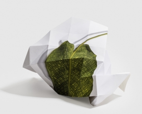 Delphine Burtin, Fragments 5-1, 2022