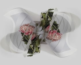 Fragments Delphine Burtin 2022 double impression D3-1