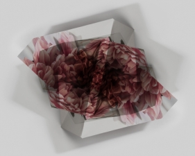 Fragments Delphine Burtin 2022 double impression D2-1