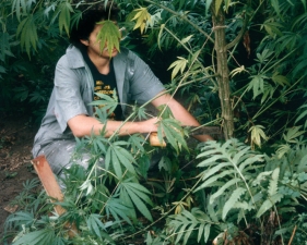 <strong>Mel Frank</strong><br /> <i>Harvesting, Dutchess County, NY</i>, 1982<br /> Edition of 10<br /> Archival pigment print<br /> 20 x 13 inches