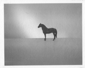 Jed Devine, Horse