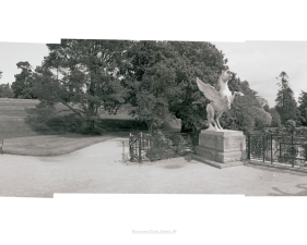 Jed Devine, Powerscourt Estate 06 CC