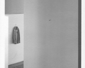 Jed Devine, Shirt Through Doorway