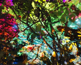 Karine Laval<br /> <em>Untitled #45&nbsp;</em>from the&nbsp;<em>Heterotopia </em>Series, 2014<br /> Chromogenic print<br /> 48 x 72" &nbsp; &nbsp;Edition of 5<br />