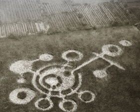 Matthew Albanese, Crop Circle#1, 2021