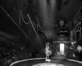 Matthew Pillsbury<br /> <em>Contortionist, Big Apple Circus, New York City, </em>2011<br /> Archival pigment ink prints<br /> 19 x 13"&nbsp;&nbsp;&nbsp; Edition of 20<br /> 40 x 30"&nbsp;&nbsp;&nbsp; Edition of 10<br /> 60 x 50"&nbsp;&nbsp;&nbsp; Edition of 3