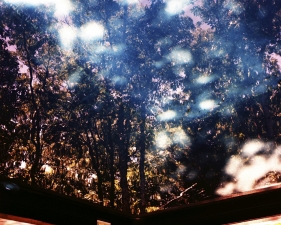 Karine Laval<br /> <em>Poolscape #100</em>, 2010<br /> Chromogenic print<br /> 20 x 20" &nbsp; &nbsp;Edition of 15<br /> 30 x 30" &nbsp; &nbsp;Edition of 9&nbsp;<br /> 50 x 50" &nbsp; &nbsp;Edition of 5