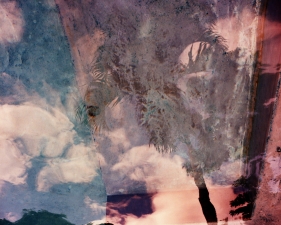 Karine Laval<br /> <em>Poolscape #82</em>, 2010<br /> Chromogenic print<br /> 20 x 20" &nbsp; &nbsp;Edition of 15<br /> 30 x 30" &nbsp; &nbsp;Edition of 9&nbsp;<br /> 50 x 50" &nbsp; &nbsp;Edition of 5