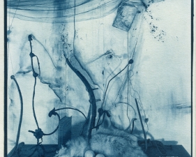 Lauren Semivan<br /> <em>Fox and Lemons, </em>2012<br /> Cyanotype, contact print from original negative<br /> 10 x 8" &nbsp; &nbsp;Edition of 10
