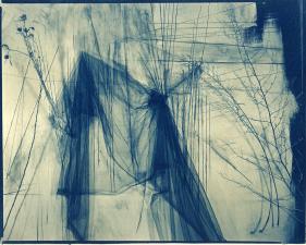 Lauren Semivan<br /> <em>May, </em>2011<br /> Cyanotype, contact print from original negative<br /> 8 x 10" &nbsp; &nbsp;Edition of 10