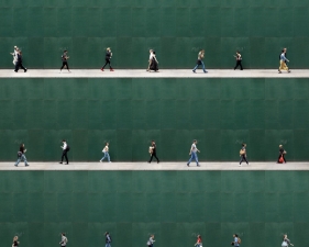 Time Lapse. 5th Avenue, NYC